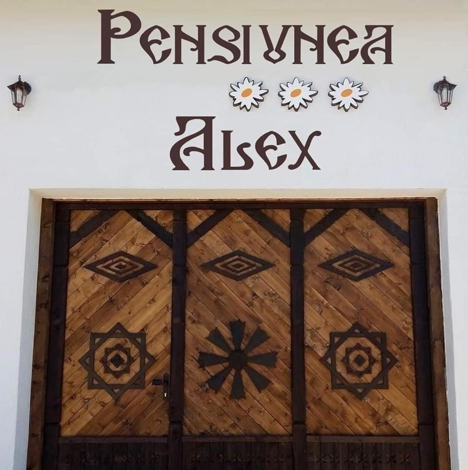 Pensiunea Alex Marga المظهر الخارجي الصورة